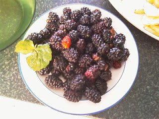Receta de Sorbete de Moras